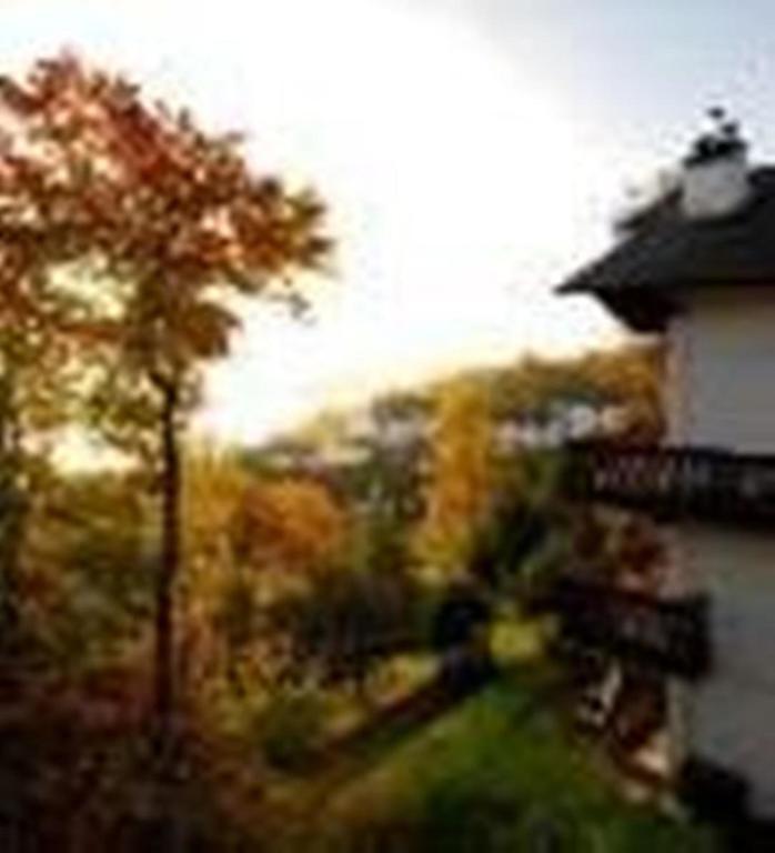 Hotel Du Lac Mont-Tremblant Værelse billede
